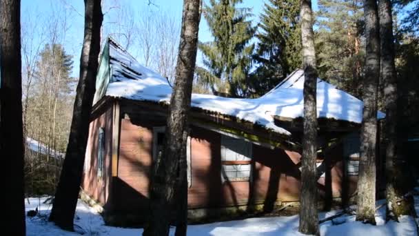 Casa de madera abandonada en el bosque — Vídeo de stock