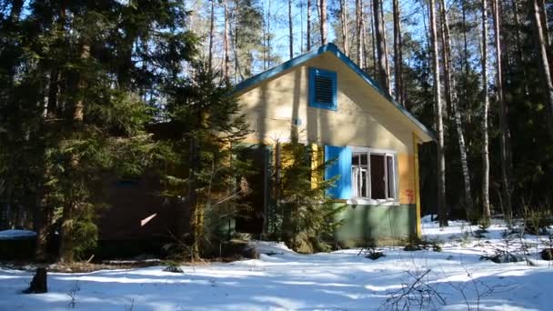 Concepto de apocalipsis o catástrofe global, casa de madera abandonada en el bosque — Vídeos de Stock