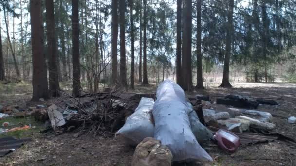 Residuos de construcción no autorizados en el fondo forestal — Vídeos de Stock