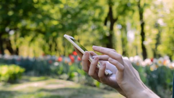 Sommerliches Geschäftskonzept, Frauentelefon — Stockvideo