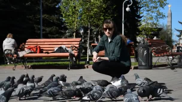 Bella ragazza studente alimentazione piccioni in estate — Video Stock