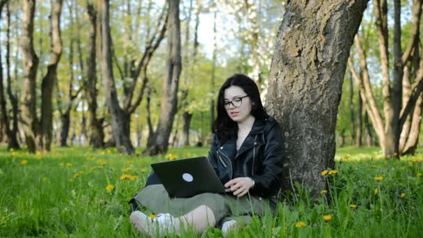 Atractiva mujer de negocios caucásica que trabaja con un ordenador portátil en la naturaleza — Vídeos de Stock