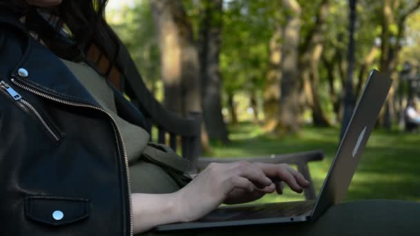 Mani femminili di donna d'affari, utente professionale che utilizza l'input di testo sul computer portatile — Video Stock