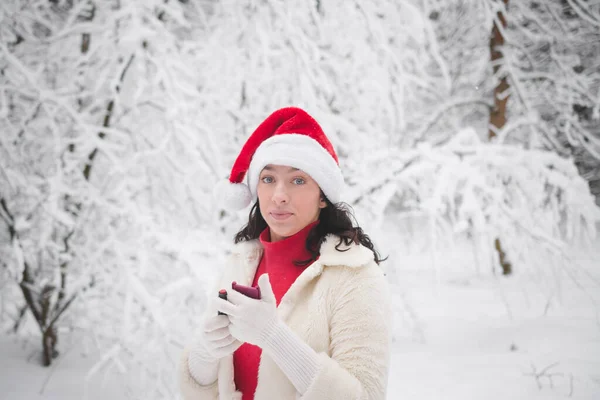 Menina Bonita Inverno Floresta Nevada Retrato Roupas Natal — Fotografia de Stock