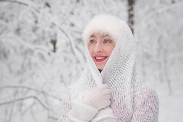 冬の雪の森の中の美しい女の子クリスマス服の肖像画 — ストック写真