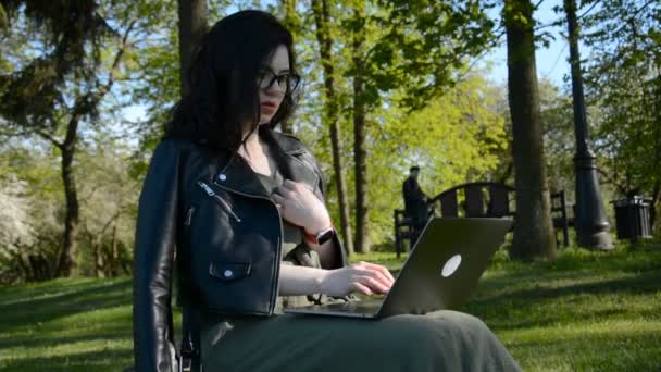 Szabadtéri Sikeres európai kaukázusi nő szabadúszó ül a füvön egy nyári park és a laptop — Stock videók