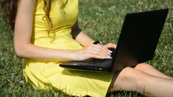 Női kéz közelkép gépelés laptopon a nyári parkban — Stock videók