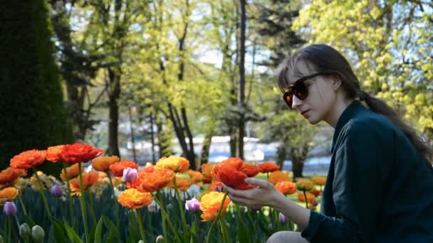 Junge Frau mit Sonnenbrille berührt Tulpen sanft — Stockvideo