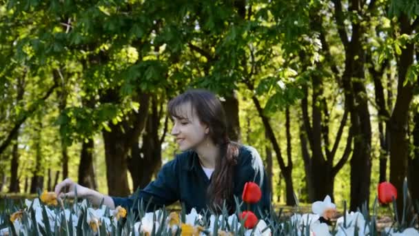 一个年轻的高加索女孩在夏城公园的绿树旁触摸并欣赏着五彩缤纷的郁金香 — 图库视频影像