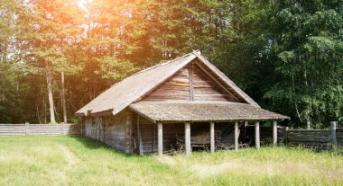 Yazın ormandaki eski ahşap ev