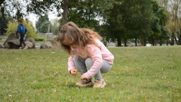 Pequena menina bonita joga no gramado em um parque de verão — Vídeo de Stock