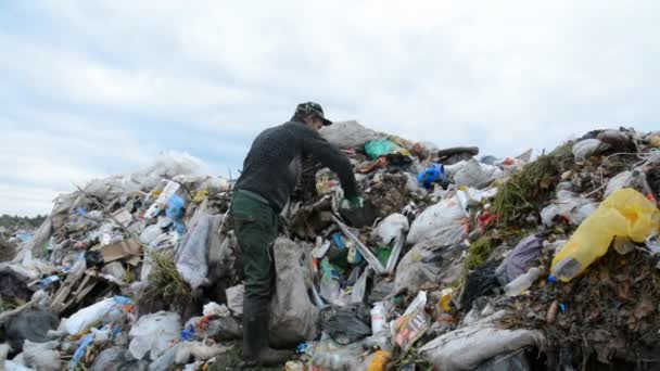 MINSK, BELARUS - 27. September 2021: Armutskonzept: Mann sammelt Plastikflaschen und Metall auf städtischer Müllkippe — Stockvideo