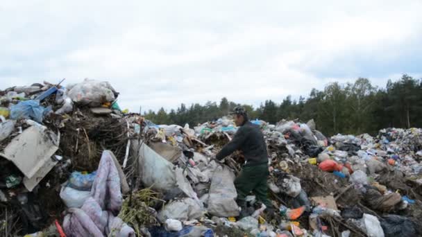 Минск, Белоруссия - 27 сентября 2021 года: Концепция бедности, успех, бизнес, мусорная свалка и человек собирает отходы на продукты питания — стоковое видео