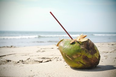 İçki Hindistan cevizi