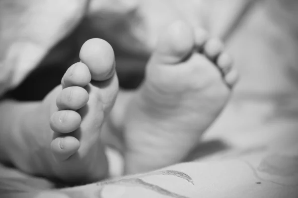 Baby feet — Stock Photo, Image