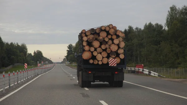 森林の背景に乾燥アスファルト郊外の空の高速道路の道路上の負荷木材トラックドライブ夏の夜のバックビュー ヨーロッパの木工材料道路輸送物流 — ストック写真