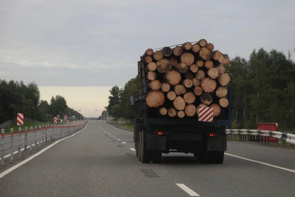 Loaded timber truck drive on dry asphalted suburban empty highway road on forest background an summer evening  rear view, woodworking materials road transportation logistics in Europe