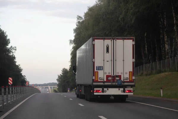 Heavy diesel truck with white semi trailer van with TIR sign drive on two lane suburban asphalted highway road side back view at summer evening on forest and sky background, transportation logistics