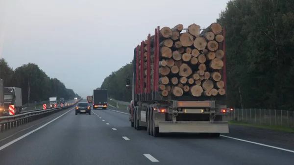 Amerikanischer Beladener Holz Lkw Mit Dreiachsigem Sattelauflieger Fährt Sommerabend Auf — Stockfoto