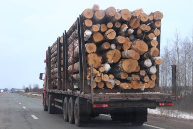 Orman yığını yüklenmiş kereste kamyonu, üç eksenli yarı karavan yolu üzerinde asfaltlanmış banliyö yolunda kış günü gökyüzü arka planında, orman endüstrisi kereste taşımacılığı