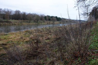 Ağaçlar, yeşil ve sarı çimenler ve nehir suyu arka planıyla Picoresque Nehri 'nin çıplak dalları Bulutlu bir sonbahar günü, Avrupa sonbahar doğal manzarası