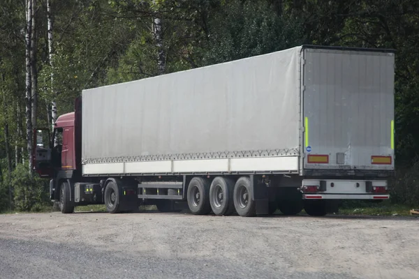 Semi Camion Européen Avec Remorque Grise Fourgonnette Garée Sur Bord — Photo