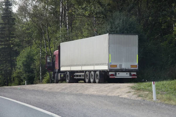 European semi truck with grey awning van trailer parked on roadside Parking at summer day on green forest background, driver work time leisure, Cargo logistics, goods delivery on road transportation