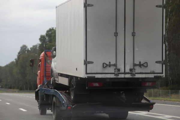 Car carrier truck transports van truck on suburban asphalt highway road at summer day against forest on roadside, back side view close up, logistics business in Europe, trucking service