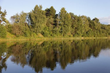 Volga nehri kıyısındaki sakin sularda yansıyan güzel yeşil ağaçlar yaz günü mavi gökyüzü arka planında, Rus doğal manzarası deniz manzarası