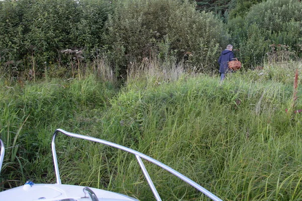Europäischer Pilzsammler Geht Sommer Mit Einem Korb Flussufer Grünen Gras — Stockfoto
