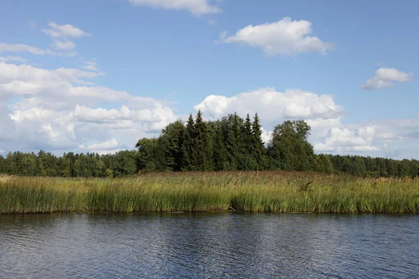Średniej Rosji Krajobraz Rzeczny Brzeg Pięknymi Zielonymi Drzewami Odbiciem Spokojnej — Zdjęcie stockowe