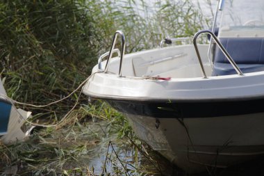 Nehir kıyısının yakınına park etmiş beyaz atlı tekne pruvası yeşil çimlerde, su turizmi açık hava eğlence yaşam tarzı ekolojik alanda Sunny yaz gününde nehir kenarında, boş zamanlarında balık tutma hobisi.