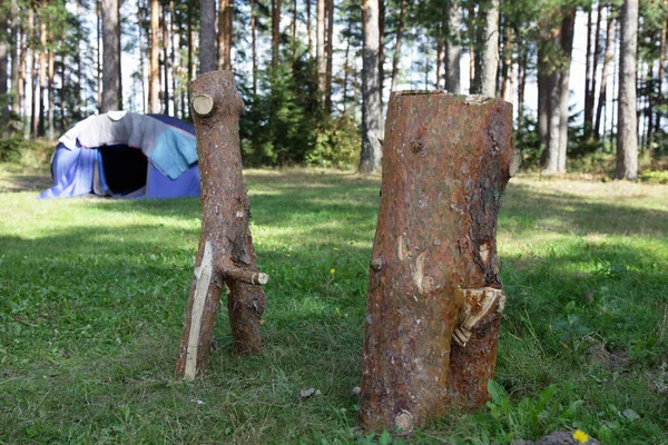 Grappig Handgemaakt Vulgair Houten Sculptuur Logs Gestileerd Als Een Man — Stockfoto