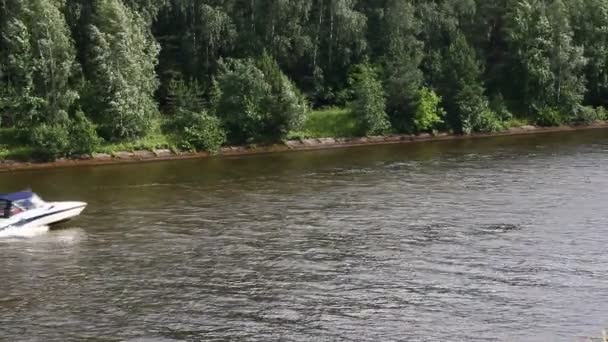 Moscow Region Rusland 2019 Snel Drijvende Motorboot Met Blauwe Luifel — Stockvideo