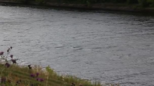 俄罗斯莫斯科州19年6月7日夏季的一天莫斯科运河里一个装有黑管和强大的舷外马达的大黑客舱rib在水面上快速漂浮带有龙河水路的尾迹从顶部掠过