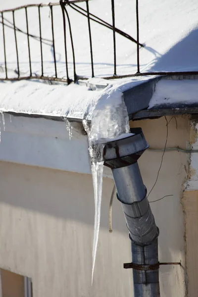 Icy downpour drain pipe top intake with big icicle close up on snow covered old roof of residential house at winter day