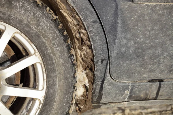 자동차 바퀴와 사이의 진흙탕 도로에서 사용하는 — 스톡 사진