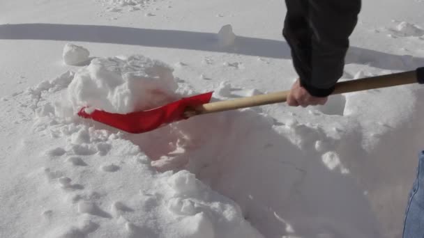 Европейский Человек Джинсах Спортивной Куртке Выкапывает Снег Сугробе Красной Лопатой — стоковое видео