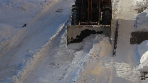 Ein Großer Fahrbarer Bulldozer Traktor Reinigt Nach Starkem Schneefall Wintertag — Stockvideo