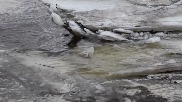 冷たい水が氷の中を流れ 雪が溶けると春の洪水 — ストック動画