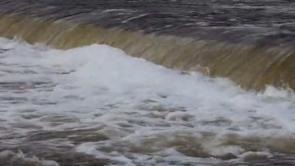 Linha Cachoeira Industrial Barragem Com Fluxo Água Espumosa Close Diagonal — Vídeo de Stock