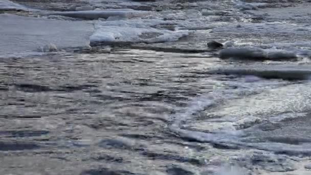 Heldere Koude Rivier Water Stroomt Onder Ijsschotsen Lente Vloed Het — Stockvideo