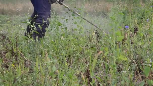 Trabajador Corta Hierba Con Una Podadora Motor Césped Verde Día — Vídeos de Stock