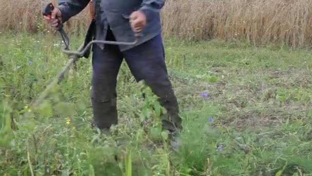 Landarbeider Overalls Maait Het Gras Met Een Motortrimmer Het Veld — Stockvideo