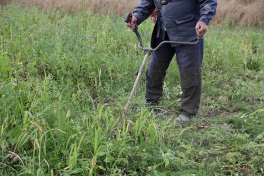 Bir bahçe işçisi, bir motor budayıcı ile çimleri biçer yaz günü yeşil çimlere yakın