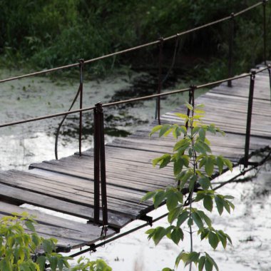 Yaz akşamları bataklıktaki küçük nehirde boş eski süspansiyon köprüsü, Avrupa doğal manzarası