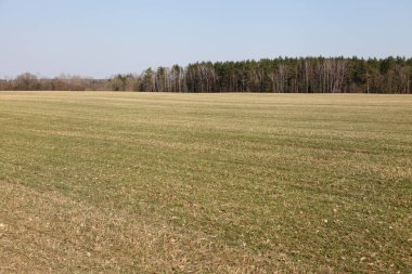 Güneşli bir bahar günü, açık mavi gökyüzüne karşı, ufukta tarım, tarım ve Rus çiftliği arazisi olan güzel, uçsuz bucaksız, kahverengi, ekili tarlalar.