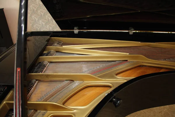 Klasszikus Grand Piano Belső Nézet Arany Keret Húrok Csapok Alatt — Stock Fotó