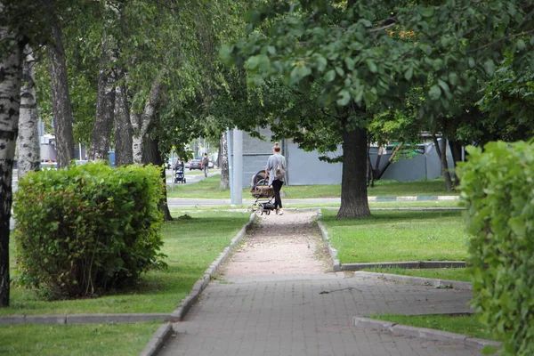 Orosz Anya Sétál Egy Baba Babakocsi Végén Park Sikátor Zöld — Stock Fotó