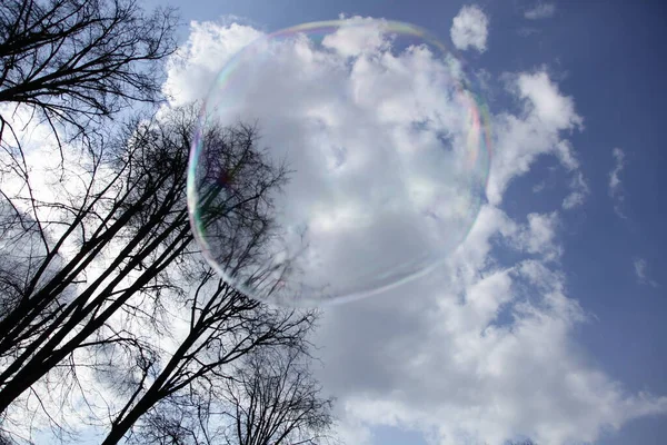 Une Grosse Bulle Savon Contre Arbre Ciel Bleu Avec Des — Photo